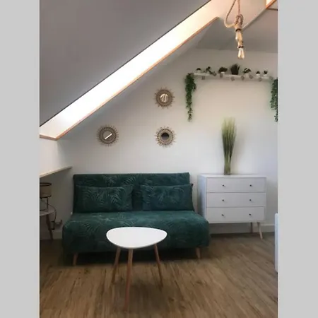 Bord De 公寓 芒通